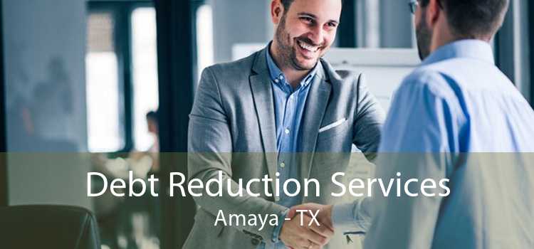 Debt Reduction Services Amaya - TX