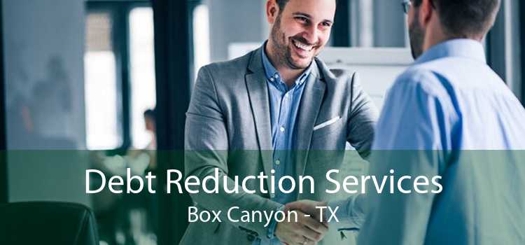 Debt Reduction Services Box Canyon - TX