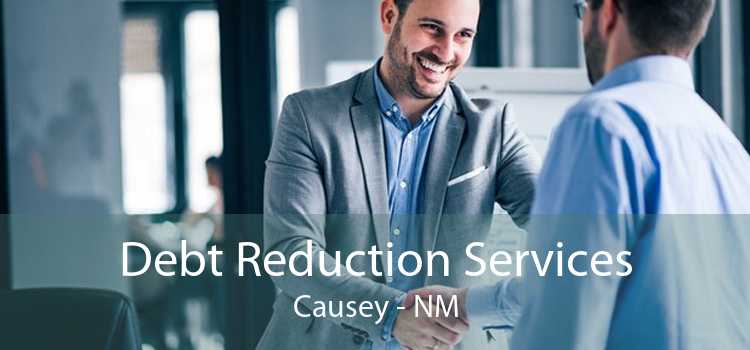Debt Reduction Services Causey - NM