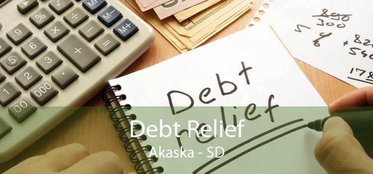Debt Relief Akaska - SD