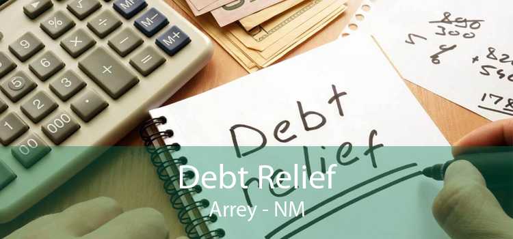 Debt Relief Arrey - NM