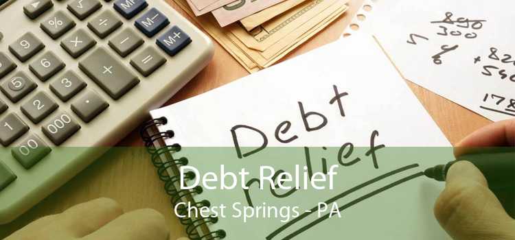 Debt Relief Chest Springs - PA