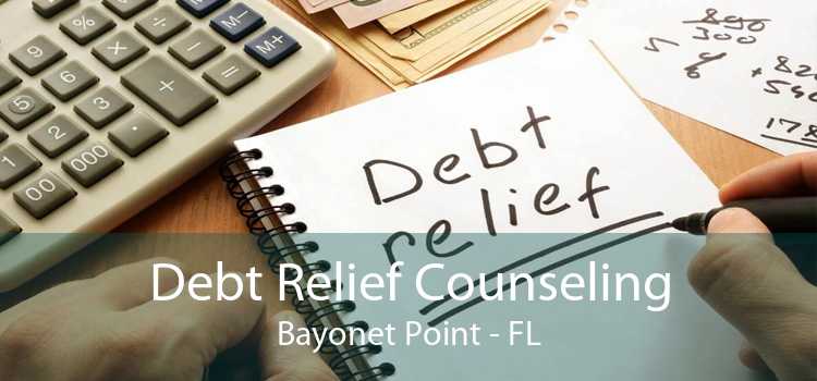 Debt Relief Counseling Bayonet Point - FL