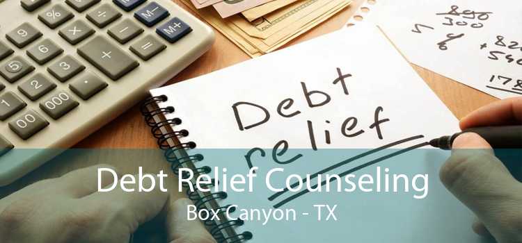 Debt Relief Counseling Box Canyon - TX