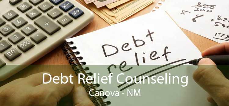 Debt Relief Counseling Canova - NM