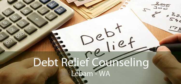 Debt Relief Counseling Lebam - WA