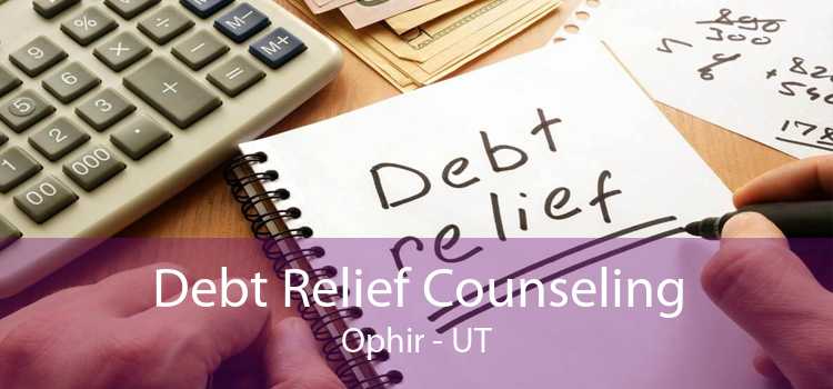 Debt Relief Counseling Ophir - UT