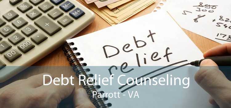 Debt Relief Counseling Parrott - VA