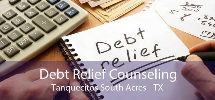 Debt Relief Counseling Tanquecitos South Acres - TX