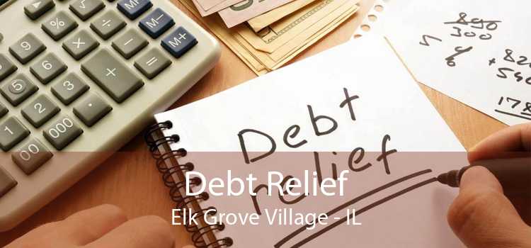 Debt Relief Elk Grove Village - IL