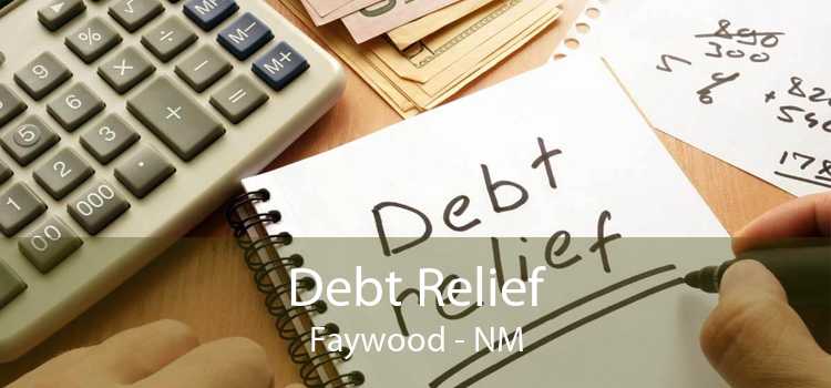 Debt Relief Faywood - NM