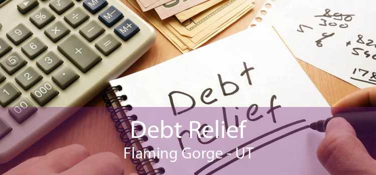 Debt Relief Flaming Gorge - UT