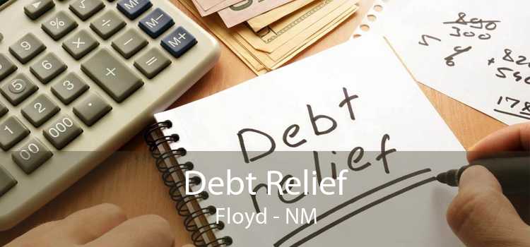 Debt Relief Floyd - NM