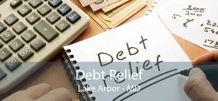 Debt Relief Lake Arbor - MD
