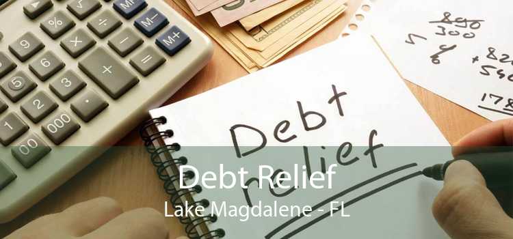 Debt Relief Lake Magdalene - FL