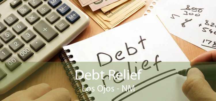 Debt Relief Los Ojos - NM