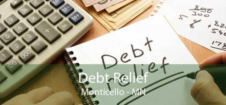 Debt Relief Monticello - MN