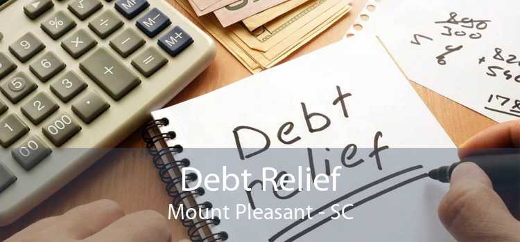 Debt Relief Mount Pleasant - SC