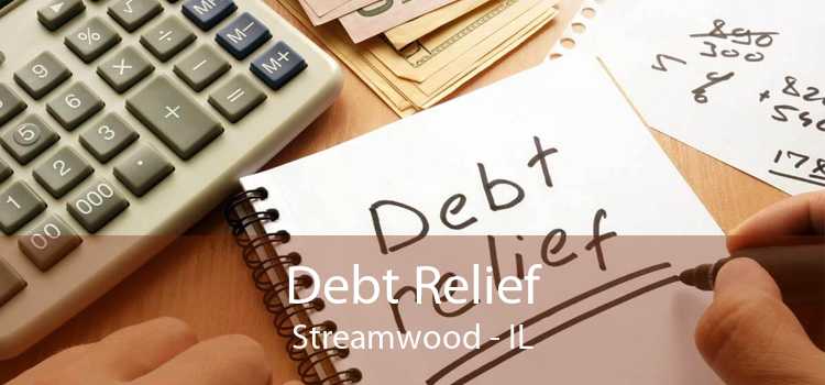 Debt Relief Streamwood - IL