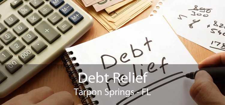 Debt Relief Tarpon Springs - FL