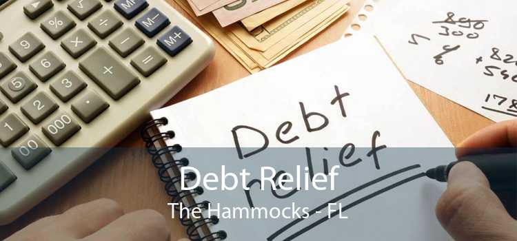 Debt Relief The Hammocks - FL