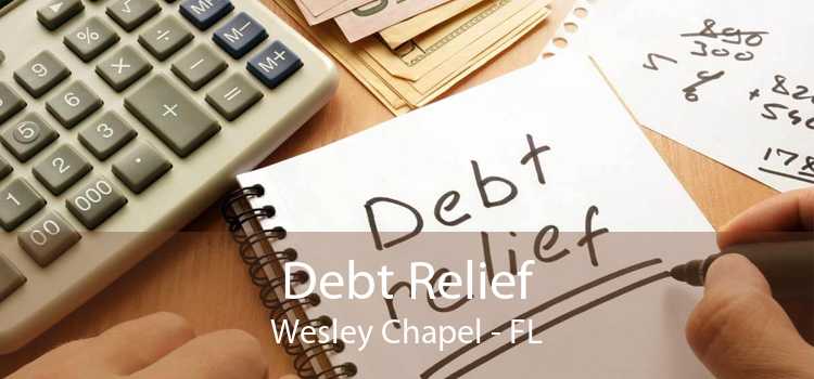 Debt Relief Wesley Chapel - FL