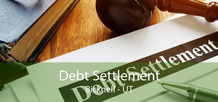 Debt Settlement Bicknell - UT
