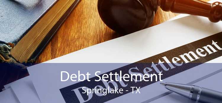 Debt Settlement Springlake - TX