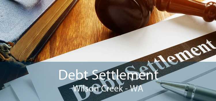 Debt Settlement Wilson Creek - WA