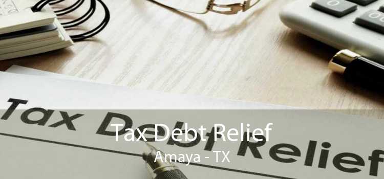 Tax Debt Relief Amaya - TX