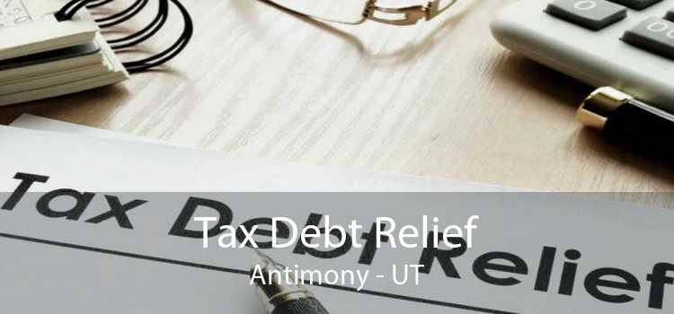 Tax Debt Relief Antimony - UT