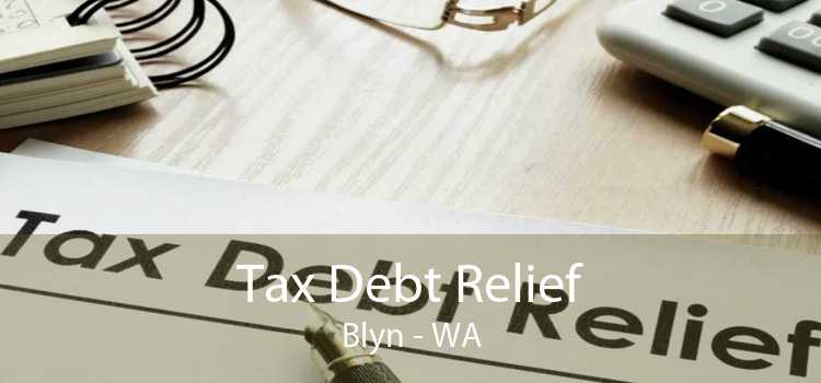 Tax Debt Relief Blyn - WA