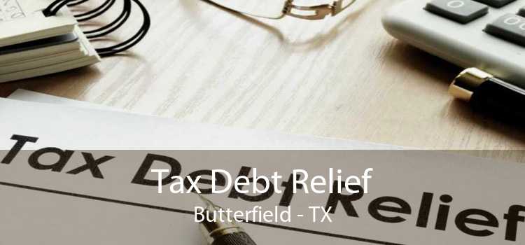 Tax Debt Relief Butterfield - TX