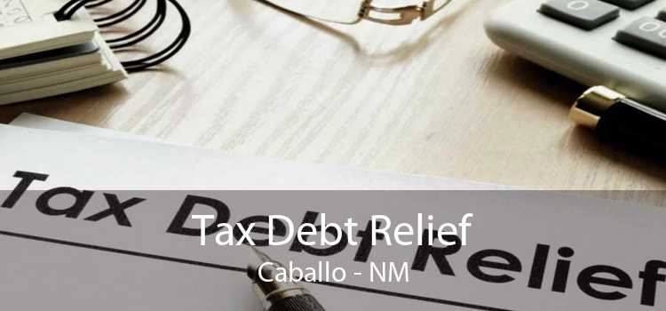 Tax Debt Relief Caballo - NM