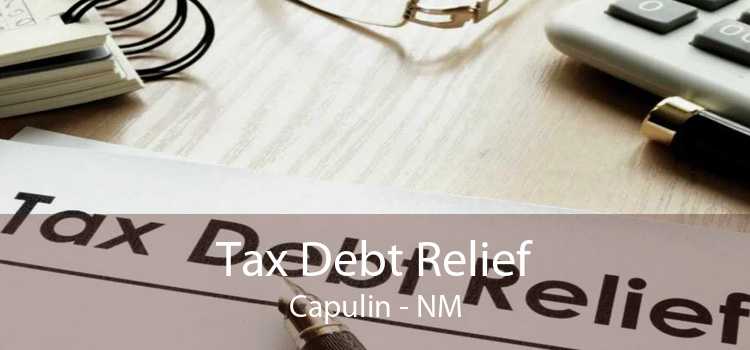 Tax Debt Relief Capulin - NM