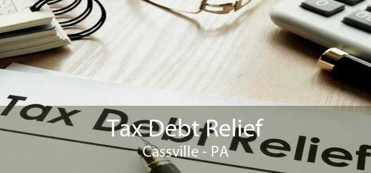 Tax Debt Relief Cassville - PA