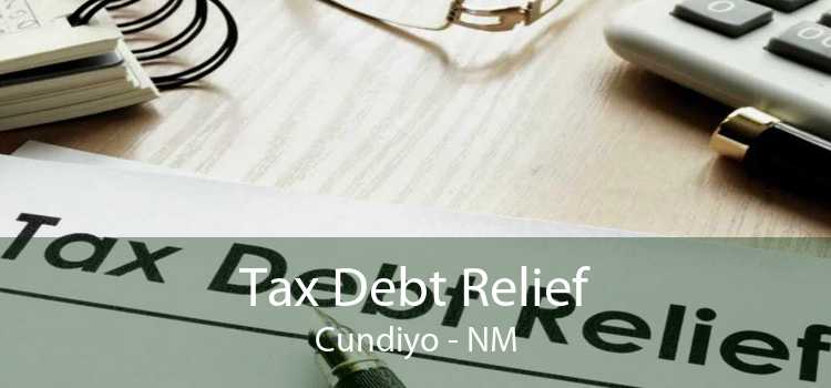 Tax Debt Relief Cundiyo - NM