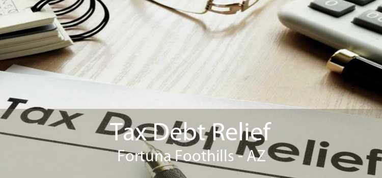 Tax Debt Relief Fortuna Foothills - AZ