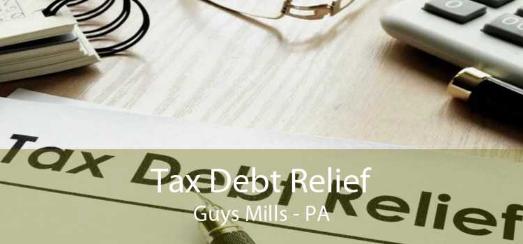 Tax Debt Relief Guys Mills - PA