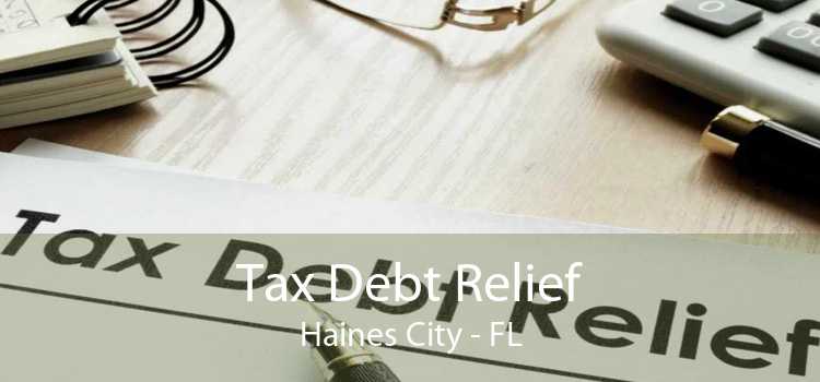 Tax Debt Relief Haines City - FL