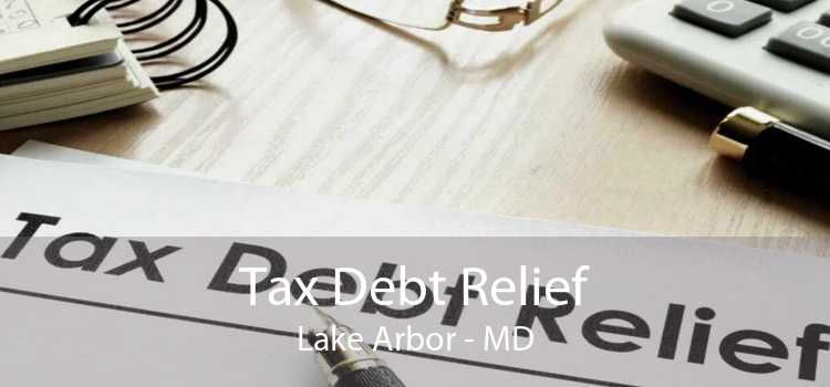 Tax Debt Relief Lake Arbor - MD