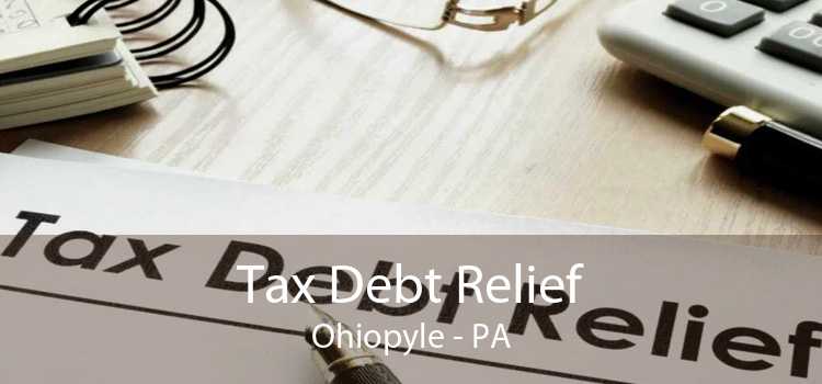 Tax Debt Relief Ohiopyle - PA
