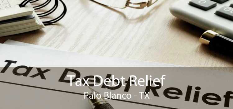 Tax Debt Relief Palo Blanco - TX