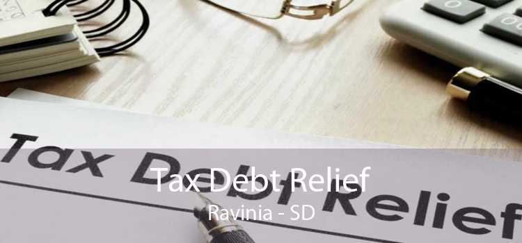 Tax Debt Relief Ravinia - SD
