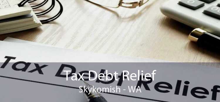 Tax Debt Relief Skykomish - WA