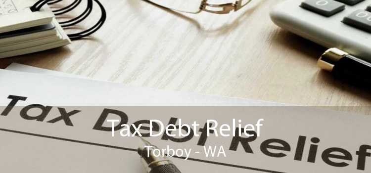 Tax Debt Relief Torboy - WA