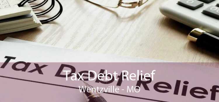 Tax Debt Relief Wentzville - MO
