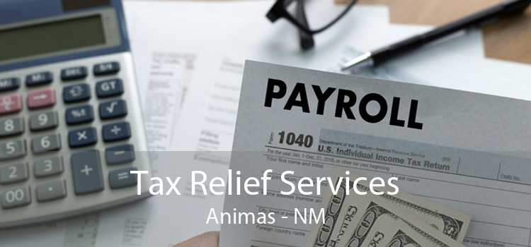 Tax Relief Services Animas - NM