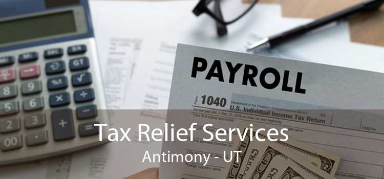 Tax Relief Services Antimony - UT