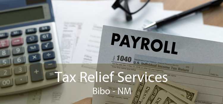 Tax Relief Services Bibo - NM